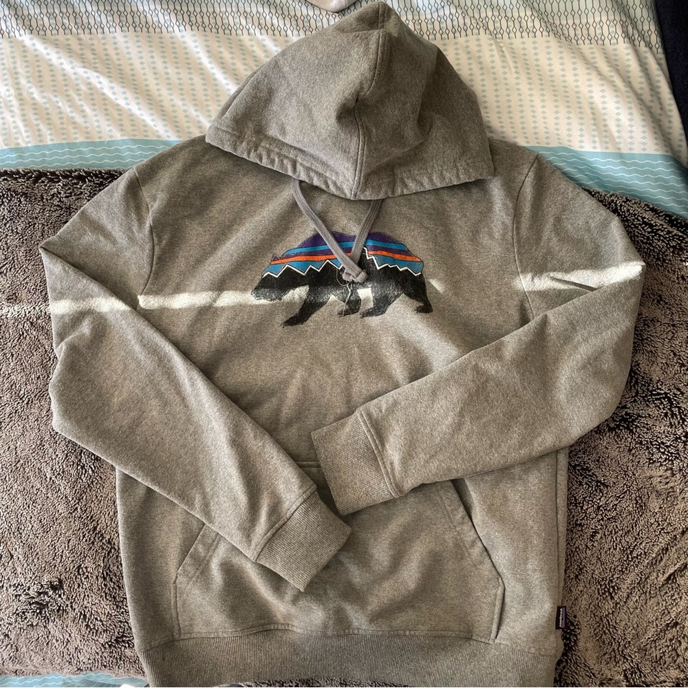 Patagonia Hoody